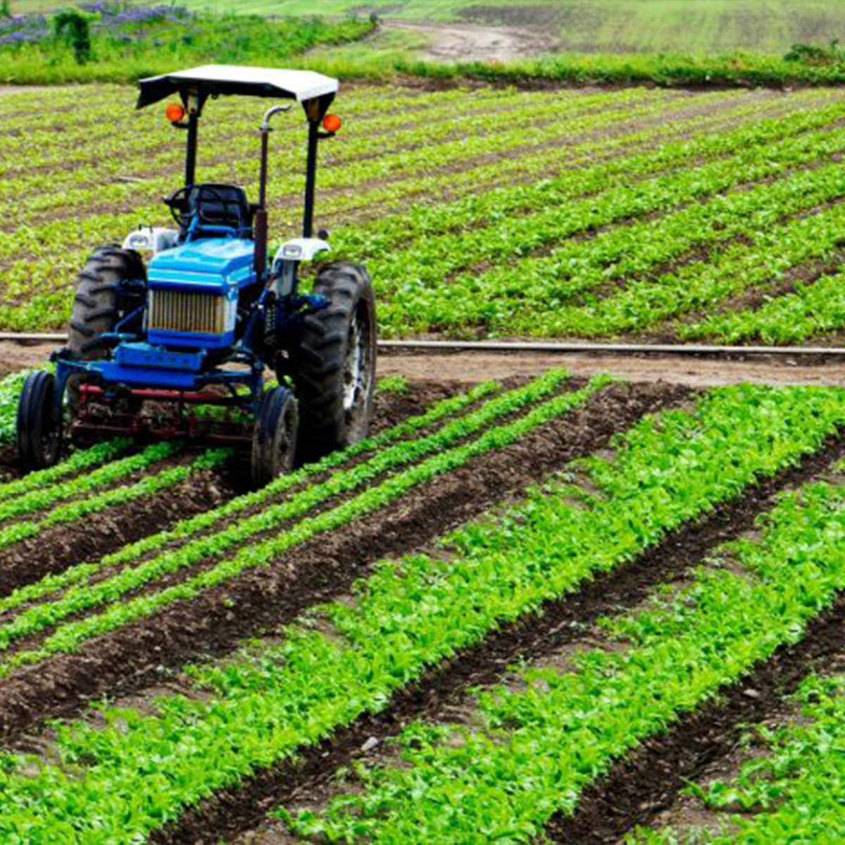 an aerial view of a wind farm and a wind turbine